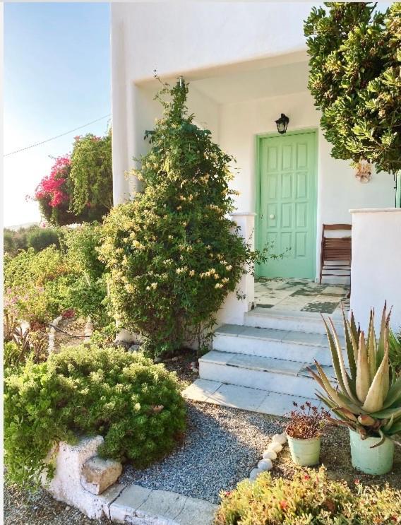 Vino Agia Anna (Naxos)