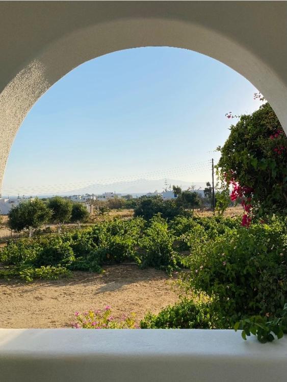 Vino Apartment Agia Anna (Naxos)